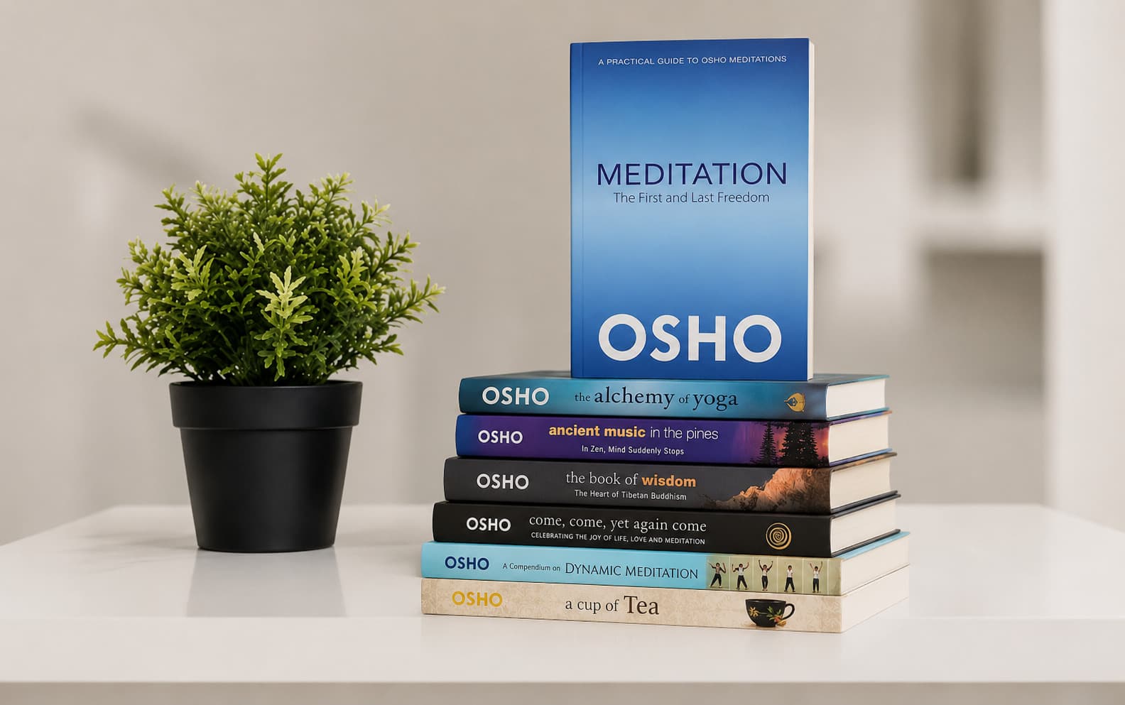 Osho books and meditation space